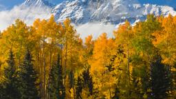 Hoteles cerca de Aeropuerto Telluride