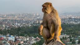 Hoteles en Nepal