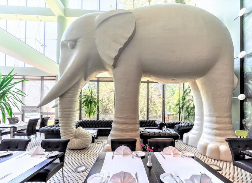 Restaurante Foto