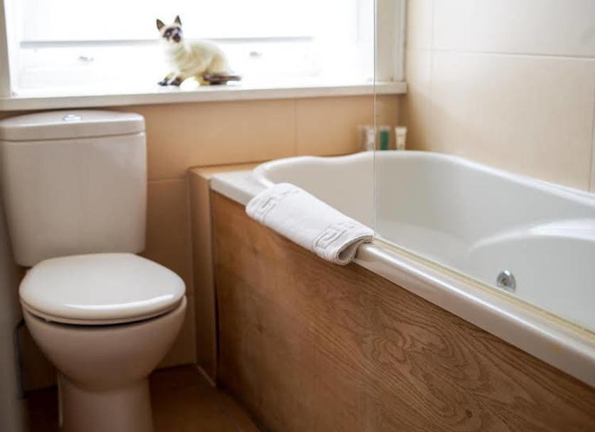 Baño Foto