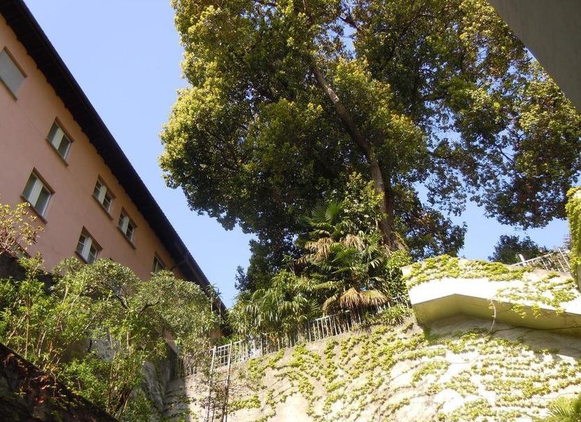 Vista del exterior Foto