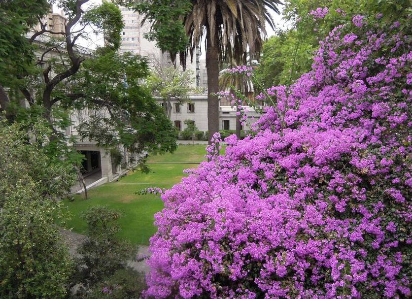Vista del exterior Foto