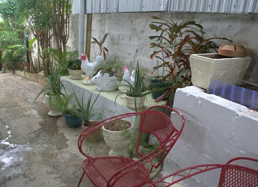 Patio Foto