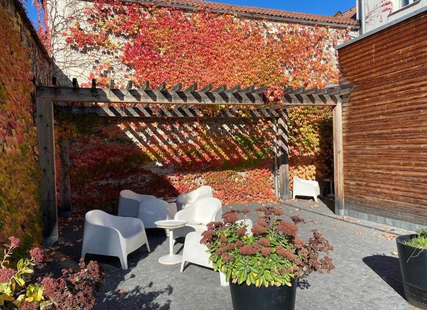 Patio Foto