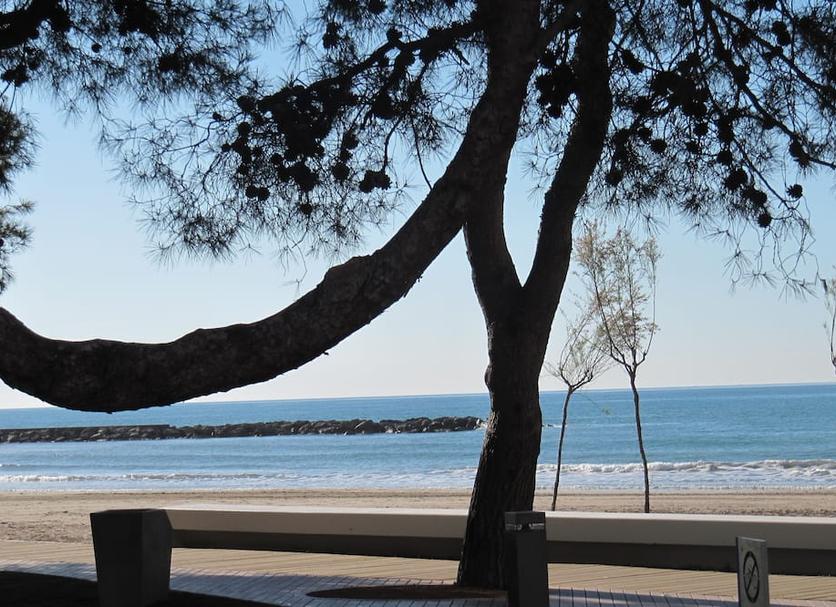 Playa Foto