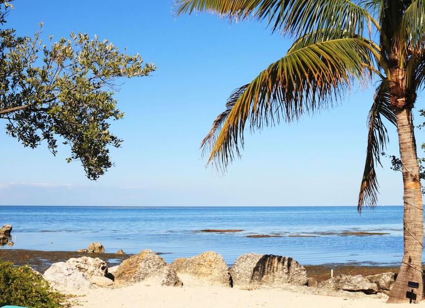 Playa Foto