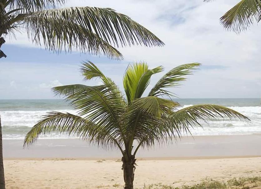 Playa Foto