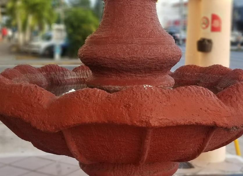 Otros Foto