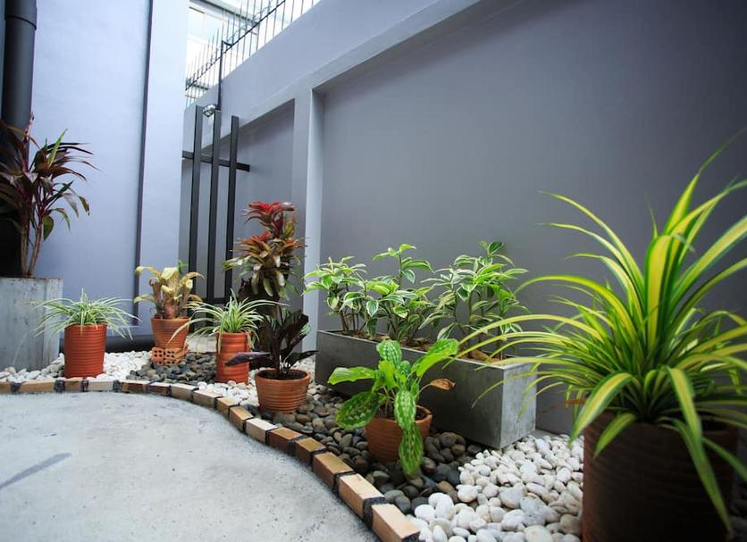 Vista del exterior Foto