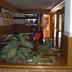 Decoración