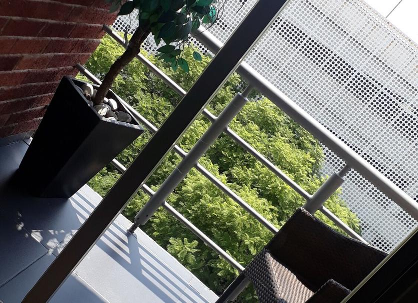 Otros Foto