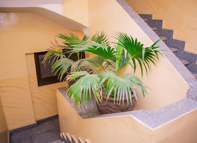 Escaleras Foto