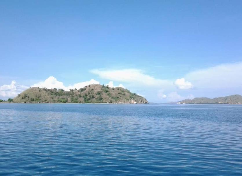 Otros Foto